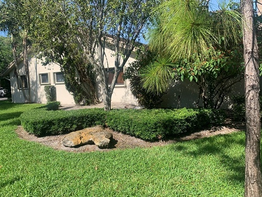 Pines West Photos Pines West Photos